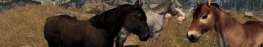skyrim realistic horse genitalia mod